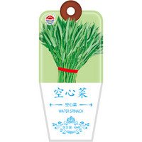 北京东升种业（DS）空心菜种子 四季蔬菜 家庭阳台 庭院种植120粒/袋