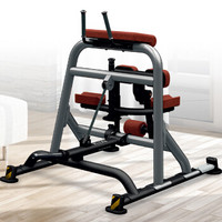 BH必艾奇PL商用系列小腿屈伸训练器健身器材综合训练器材健身房专用 PL170