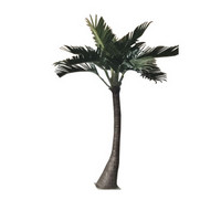语塑 仿真椰子树，工地用喷淋 高度6米高仿真 美观大方，工地迎宾树