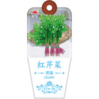 北京东升种业（DS）红芹菜种子 四季蔬菜 家庭阳台 庭院种植50粒/袋