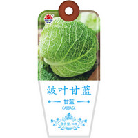 北京东升种业（DS）皱叶甘蓝种子 四季蔬菜 家庭阳台 庭院种植20粒/袋