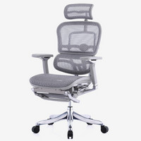 保友办公家具（Ergonor）电脑椅 联友人体工学椅子 金豪+豪华版 办公网椅