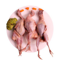 吴琼 鹌鹑肉  5只/约750g 鹌鹑 鸟肉 烧烤食材