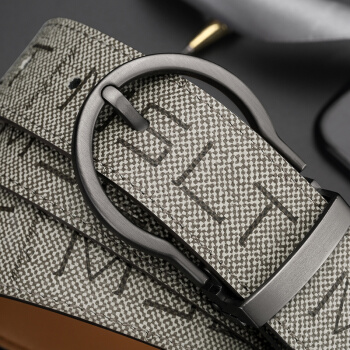 马莎兰缇(MashaLanti) 商务男士皮带休闲男款针扣腰带潮流男裤带 PZ025灰色