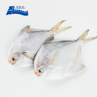 西南冷 冷冻舟山平鱼350g/2条 白鲳鱼 海鲜水产