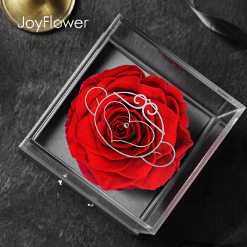 玫瑰盒子（RoseBox）永生花礼盒生日520情人节生日礼物送女生朋友老婆玫瑰鲜花速递实用创意礼品