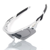 BASTO运动眼镜可配近视骑行眼镜 防风护目镜跑步眼镜 钓鱼偏光镜 5副镜片套装 BS106钛金银