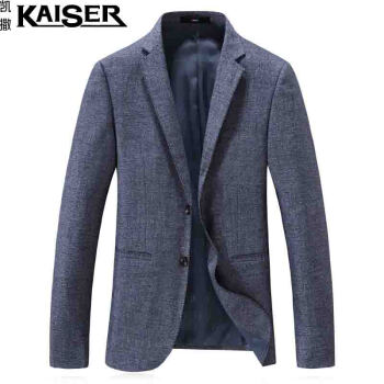 凯撒（KAISER）西服 男2019春季新款商务休闲西装双扣单西上衣外套 D216-9809 浅蓝色 4XL