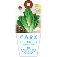 北京东升种业（DS）罗马帝国生菜种子 四季蔬菜 家庭阳台 庭院种植300粒/袋