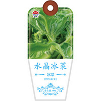 北京东升种业（DS）水晶冰菜种子 四季蔬菜 家庭阳台 庭院种植60粒/袋
