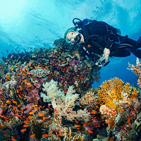 印尼巴厘岛-蓝梦岛/图兰奔 Fun Dive 持证深潜套餐