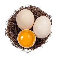 谷物饲养鲜鸡蛋30枚  月子蛋宝宝辅食营养蛋 包邮 20枚装