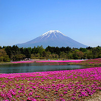 旅游尾单：天津航空 天津直飞日本东京进大阪出6天往返机票