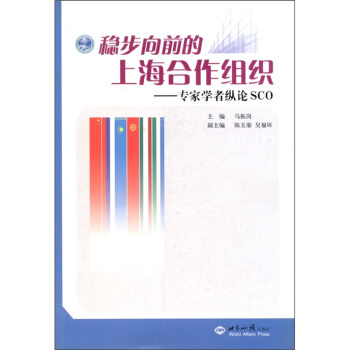 稳步向前的上海合作组织：专家学者纵论SCO