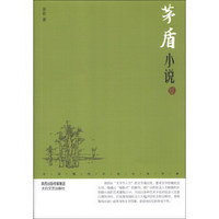 中国现代名家小说书系：茅盾小说（鉴赏版）