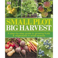 Small Plot, Big Harvest
