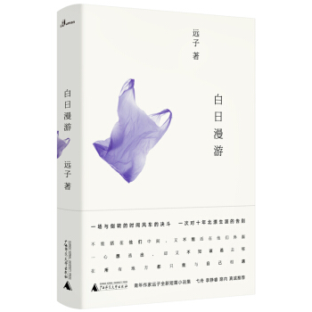 新民说·白日漫游