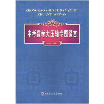 中考数学大压轴专题微言