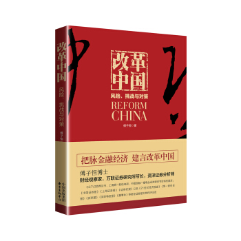 改革中国：风险、挑战与对策