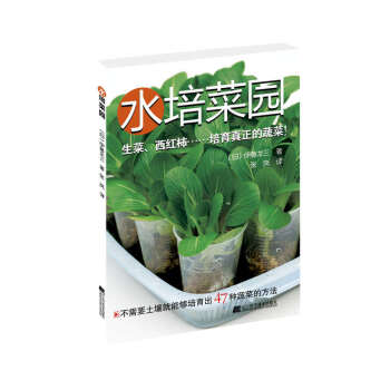 水培菜园