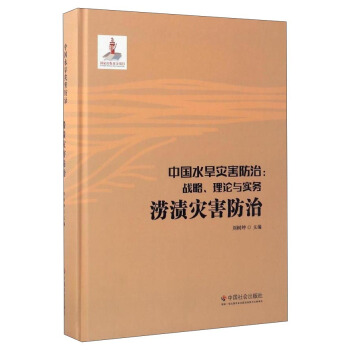 中国水旱灾害防治：战略、理论与实务 涝渍灾害防治