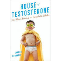 House of Testosterone: One Mom's Survival in a Household of Males