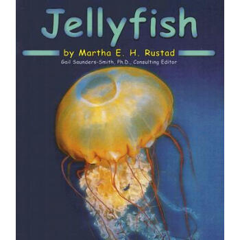 Jellyfish (Ocean Life)