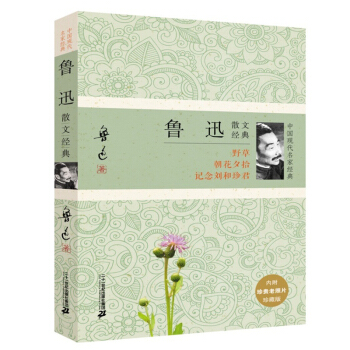 鲁迅散文经典