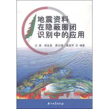 地震资料在隐蔽圈闭识别中的应用