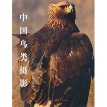中国鸟类摄影