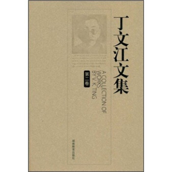 丁文江文集（第2卷）