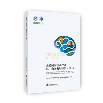 金砖国家中小企业电子商务发展报告（2017）