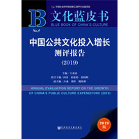 文化蓝皮书：中国公共文化投入增长测评报告（2019）