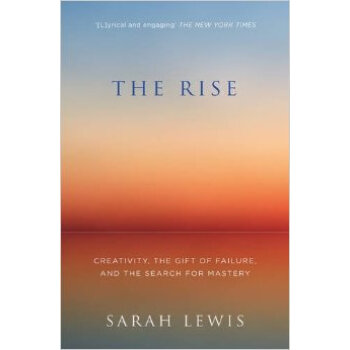 The Rise: Creativity, The Gift Of Failure, And The Search For Mastery