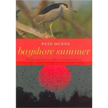 Bayshore Summer: Finding Eden in a Most Unlikely Place