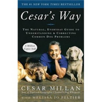 Cesar's Way 英文原版