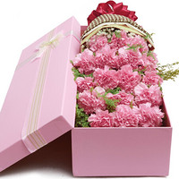 爱侣 鲜花速递19朵粉色康乃馨礼盒送妈妈老师长辈教师节礼物全国同城配送