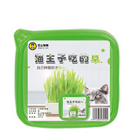 狗狗专车/巴士宠物 猫零食猫草种植水养土养套装双份种子吐毛球猫草 绿盒-土养猫草300g