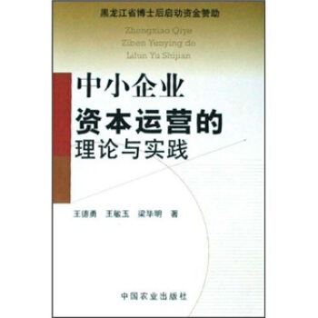 中小企业资本运营的理论与实践