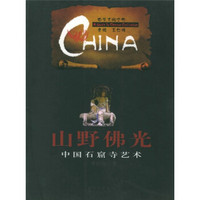中华文明之旅·山野佛光：中国石窟寺艺术