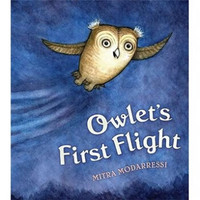 Owlet's First Flight