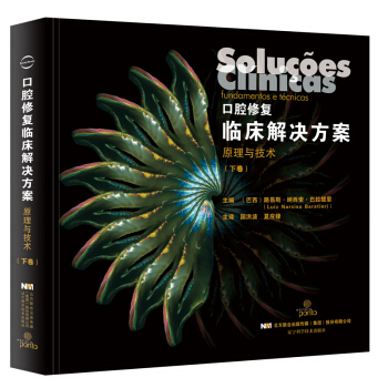 口腔修复临床解决方案原理与技术