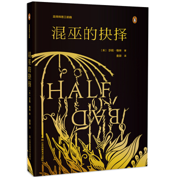 巫师拜恩三部曲 混巫的抉择