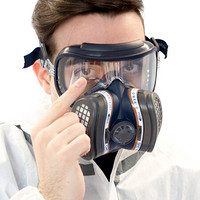 星工（XINGGONG）眼口鼻一体全面罩防毒面具 防尘防雾霾喷漆化工口罩 SDR444