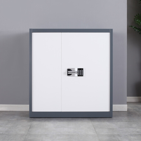 洛来宝 保密柜 文件柜保险柜双保险保管柜电子密码柜 灰套白单节柜
