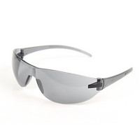 梅思安（MSA）9913278  百固-G 防护眼镜 防刮擦 防冲击 定做灰色镜片  2副
