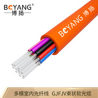 博扬（BOYANG）BY-GJFJV-12A1-50 12芯多模室内网线光纤线 50/125 GJFJV束状软光缆 100米