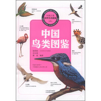 中国之美自然生态图鉴 中国鸟类图鉴