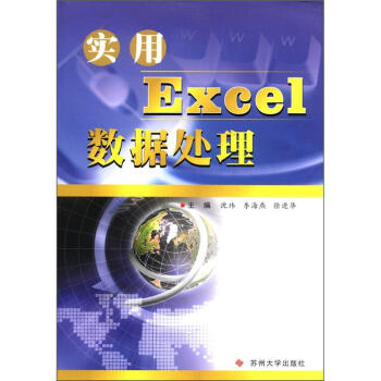 实用Excel数据处理