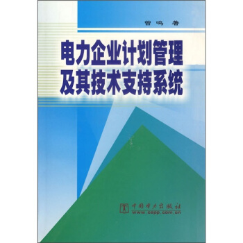 电力企业计划管理及其技术支持系统